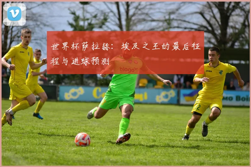 世界杯萨拉赫：埃及之王的最后征程与进球预测