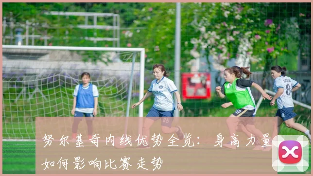 努尔基奇内线优势全览：身高力量如何影响比赛走势