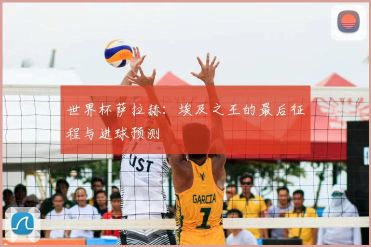 世界杯萨拉赫：埃及之王的最后征程与进球预测