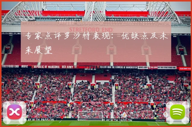 专家点评罗沙特表现：优缺点及未来展望